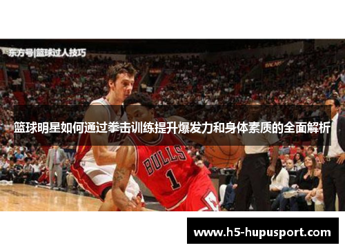 篮球明星如何通过拳击训练提升爆发力和身体素质的全面解析